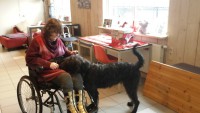 Sonja en Zazou in het trainings centrum van de stichting assistentie hond.